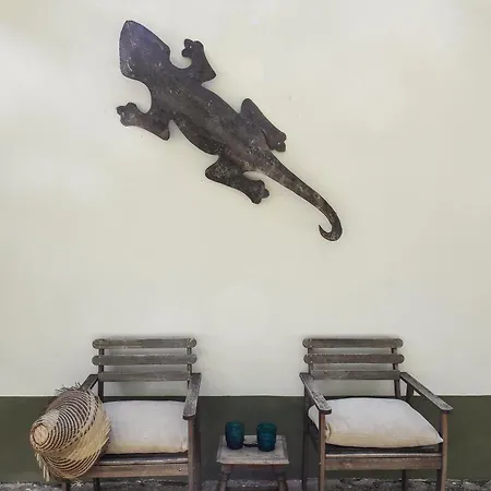Vumba Holiday park *