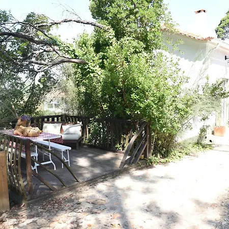 Holiday park Vumba Arganil