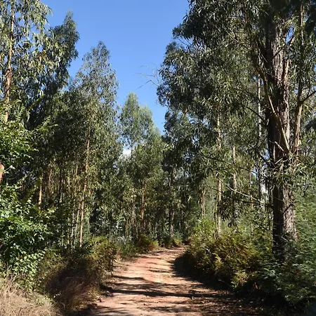 Ferienpark Vumba