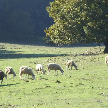 Vumba Tatil parkı *