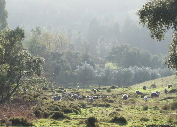 Vumba Semesterpark Arganil