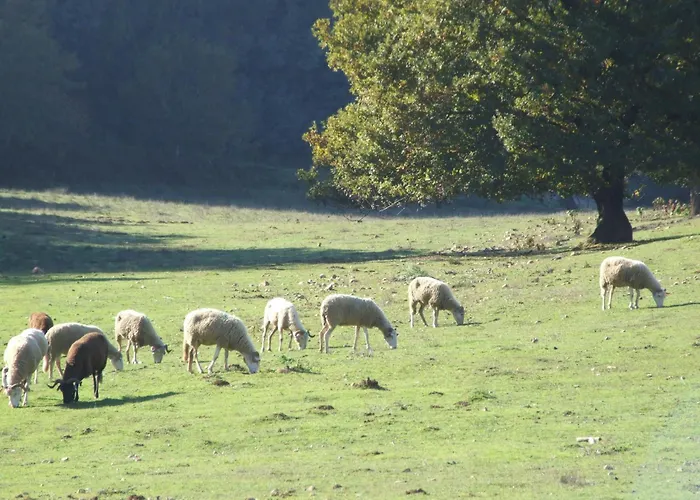 Vumba Semesterpark *